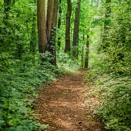 Prázdninový dům Wilkenburg - Luxurioese Und Idyllische Hemmingen (Hannover)