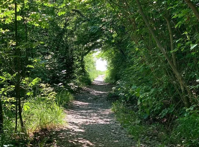 Wilkenburg - Luxurioese Und Idyllische 펜션 헴밍겐